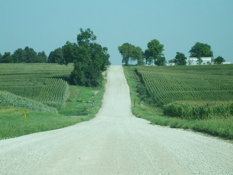 Dirt Road in Cornfields