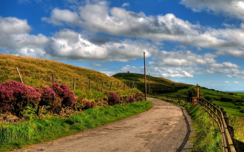 Dirt Road in Countryside — Blue, Serene