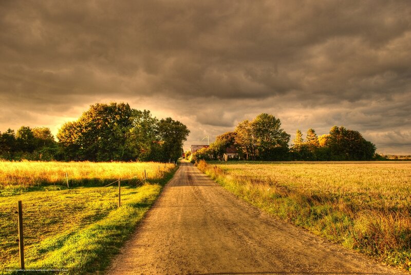 Dirt Road in Countryside — Brown, Dramatic, Sunset, Photograph, Fields