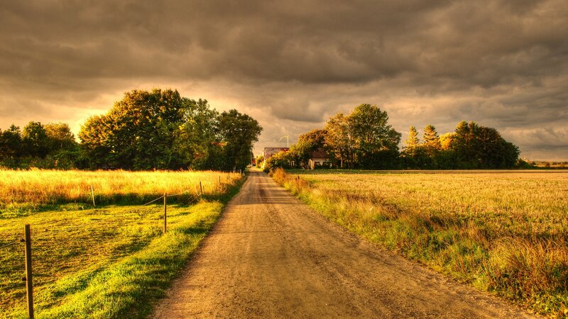Dirt Road in Countryside — Brown, Dramatic, Sunset