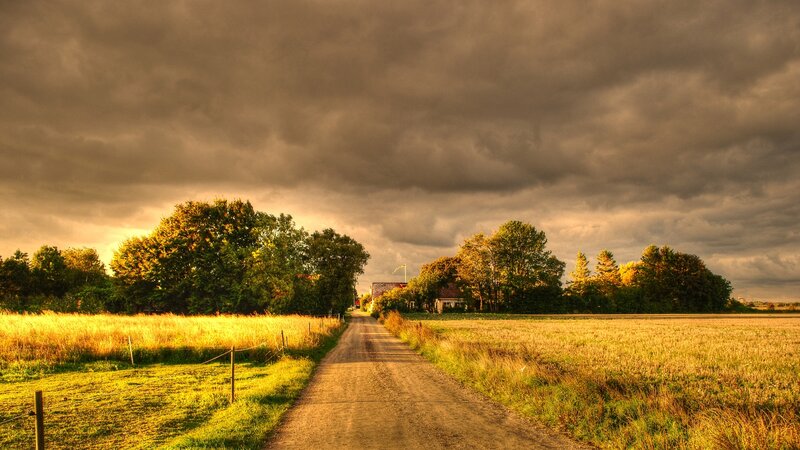 Dirt Road in Countryside — Brown, Dramatic