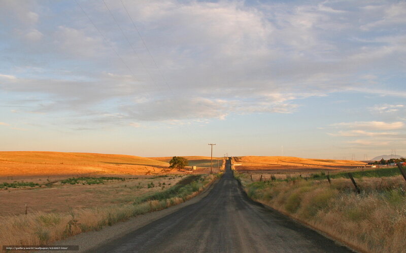 Dirt Road in Countryside — Brown, Serene