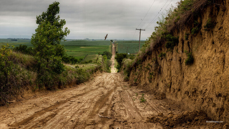 Dirt Road in Countryside — Brown