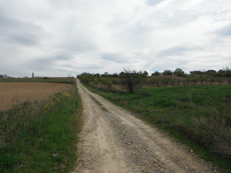 Dirt Road in Countryside — Green, Calm