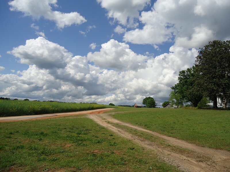 Dirt Road in Countryside — Green, Serene, Afternoon, Photograph, Fields