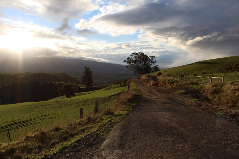 Dirt Road in Countryside — Green, Serene, Sunset, Photograph, Hills