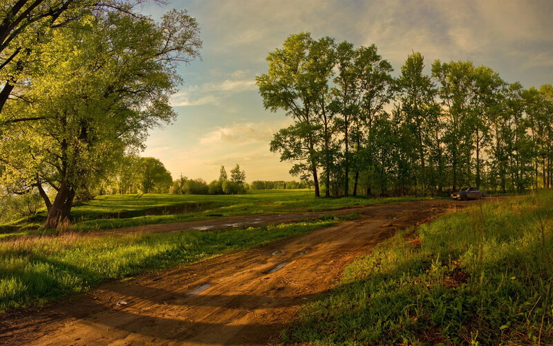 Dirt Road in Countryside — Green, Serene, Sunset, Photograph