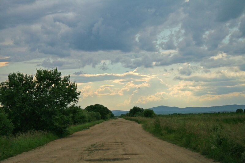 Dirt Road in Countryside — Green, Serene, Sunset, Photograph, Trees