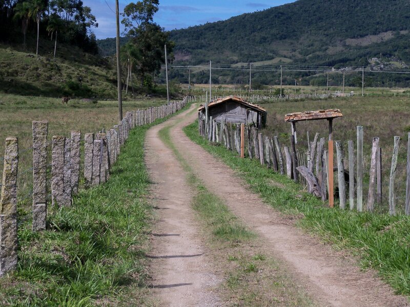 Dirt Road in Countryside — Green, Serene