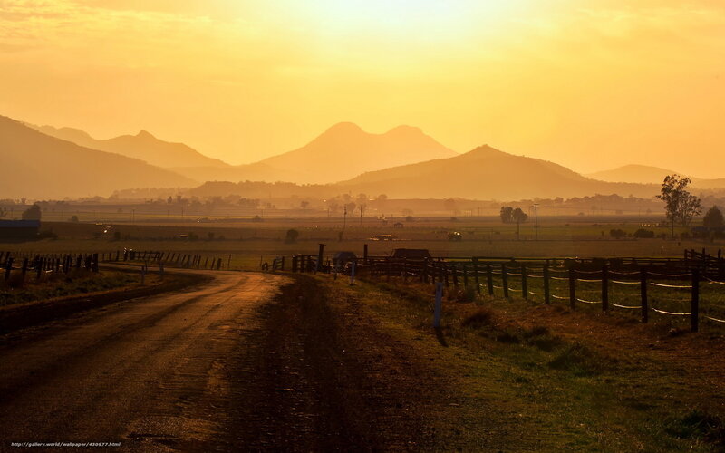 Dirt Road in Countryside — Yellow, Serene