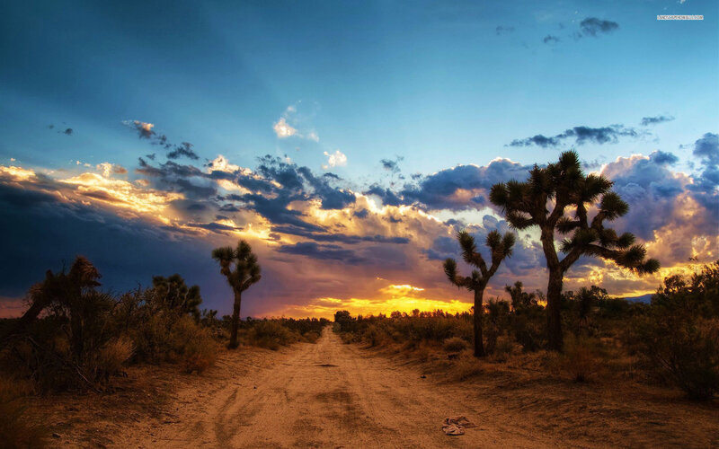 Dirt Road in Desert — Blue, Dramatic, Sunset, Photograph