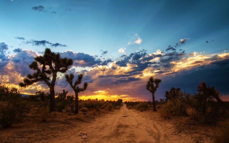 Dirt Road in Desert — Blue, Dramatic, Sunset