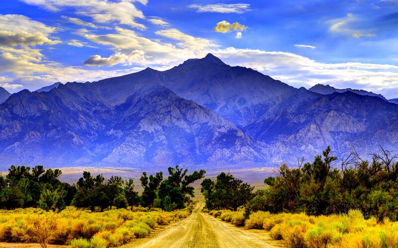 Dirt Road in Desert — Blue, Serene