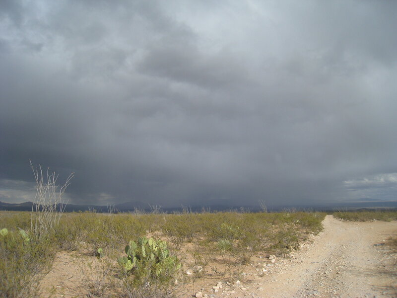 Dirt Road in Desert — Gray