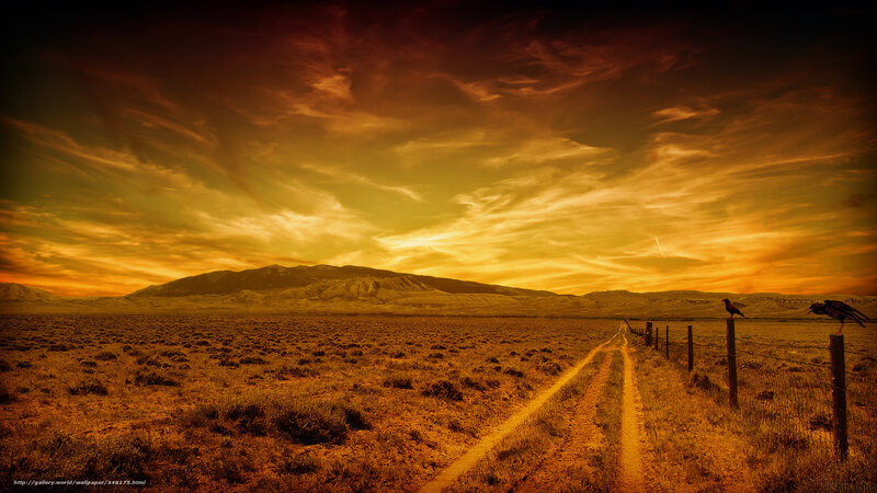 Dirt Road in Desert — Orange