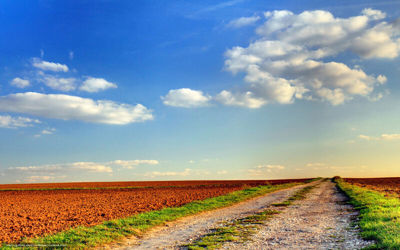 Dirt Road in Field — Blue, Serene, Afternoon, Photograph, Clouds