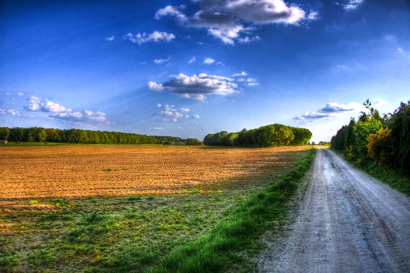 Dirt Road in Field — Blue, Serene, Afternoon, Photograph, Trees