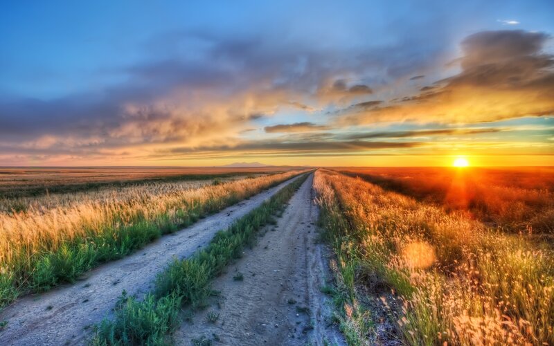 Dirt Road in Field — Blue, Serene, Sunset