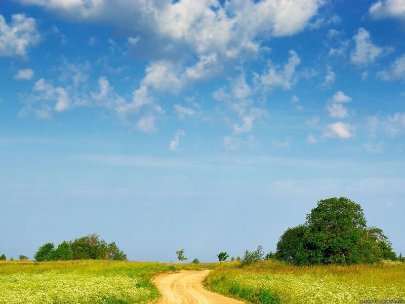 Dirt Road in Field — Blue, Serene
