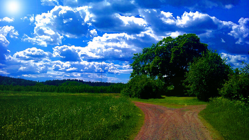 Dirt Road in Field — Blue