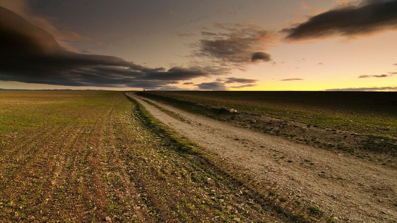 Dirt Road in Field — Brown, Dramatic, Sunset, Photograph, Sky, Clouds