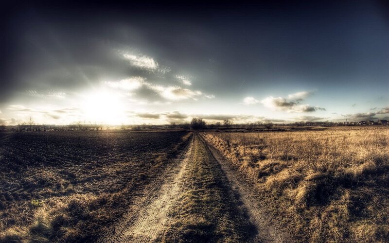 Dirt Road in Field — Brown, Dramatic, Sunset, Photograph, Sky