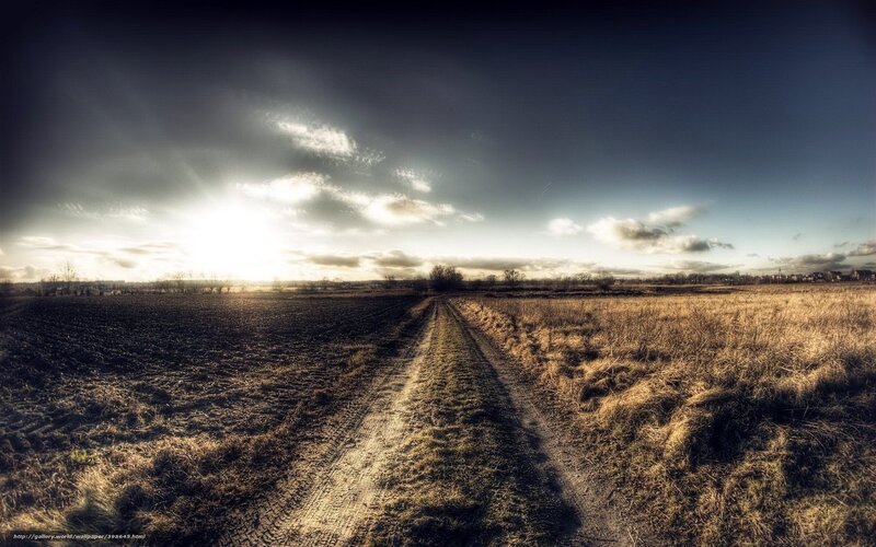 Dirt Road in Field — Brown, Dramatic, Sunset, Photograph, Sun