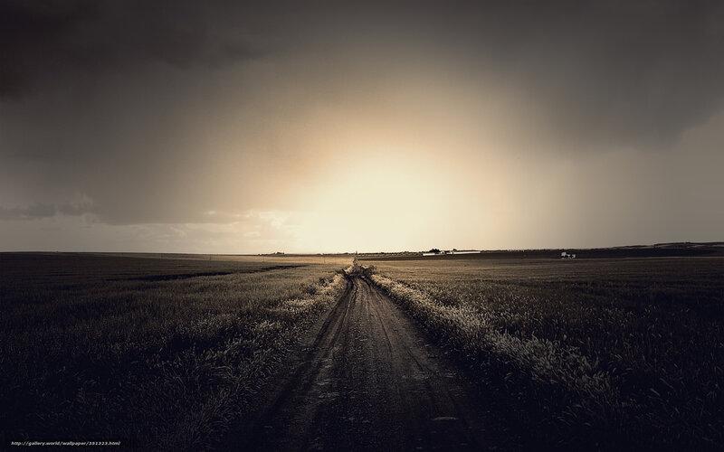 Dirt Road in Field — Brown, Dramatic, Sunset, Photograph