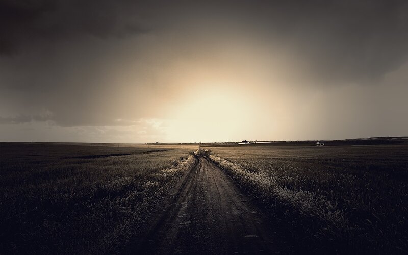 Dirt Road in Field — Brown, Dramatic, Sunset