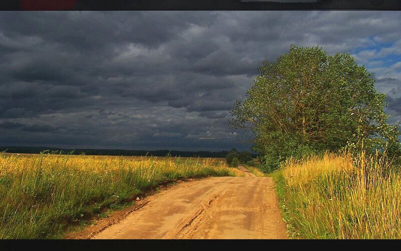 Dirt Road in Field — Brown, Dramatic