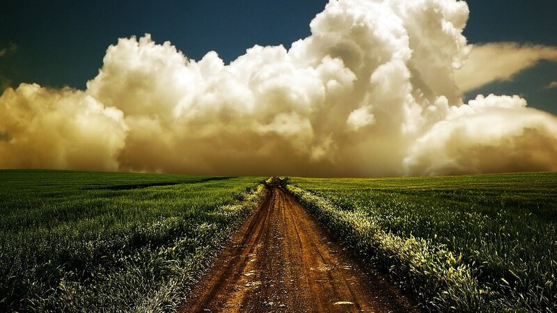 Dirt Road in Field — Dramatic