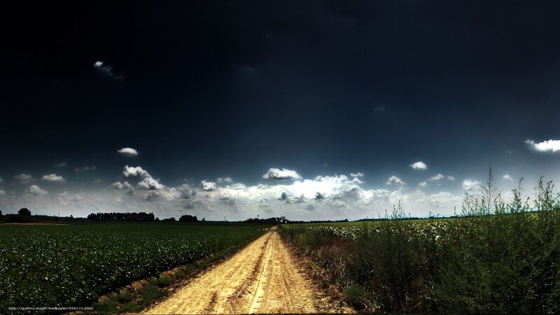 Dirt Road in Field — Green, Dramatic, Afternoon, Photograph, Clouds, Sky