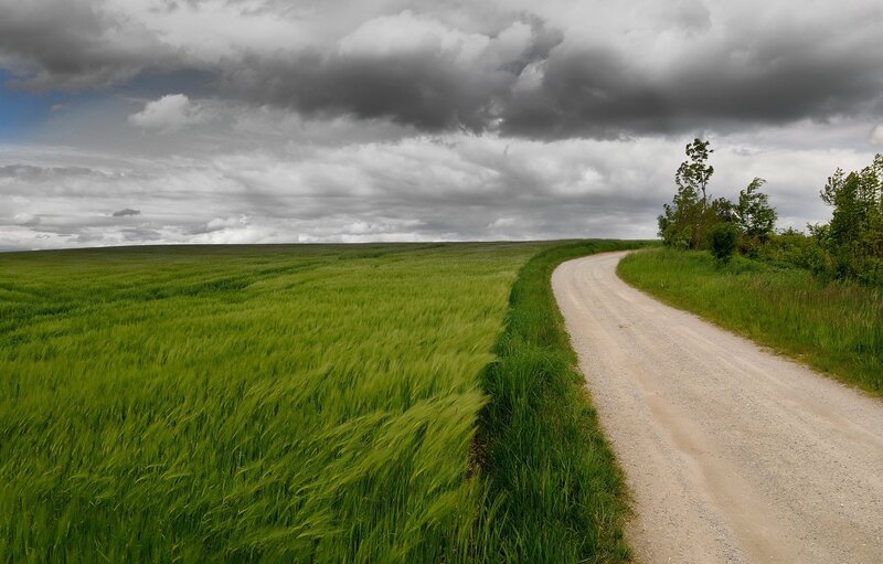 Dirt Road in Field — Green, Dramatic, Afternoon, Photograph, Clouds