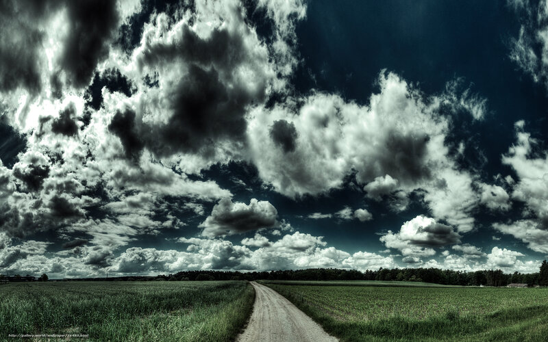Dirt Road in Field — Green, Dramatic, Afternoon, Photograph, Clouds, Trees