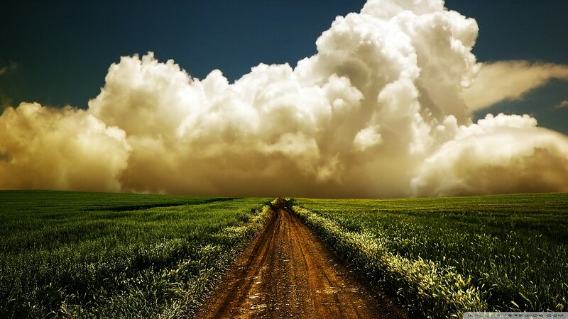 Dirt Road in Field — Green, Dramatic, Afternoon, Photograph