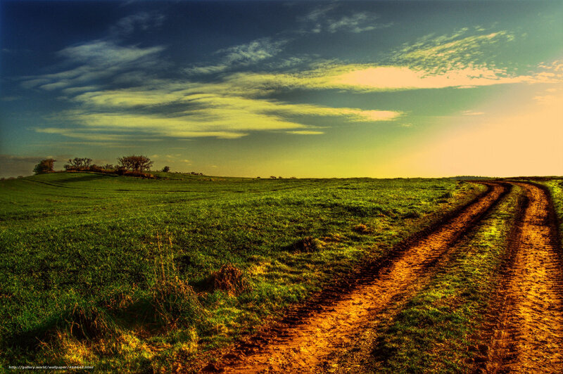 Dirt Road in Field — Green, Dramatic, Sunset, Photograph, Sky