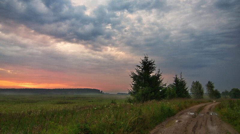 Dirt Road in Field — Green, Dramatic, Sunset, Photograph, Trees