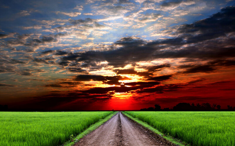 Dirt Road in Field — Green, Dramatic, Sunset