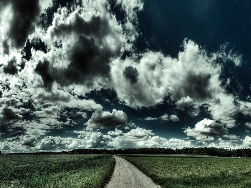 Dirt Road in Field — Green, Dramatic