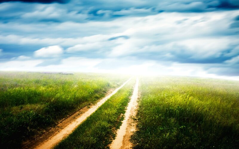 Dirt Road in Field — Green, Serene, Afternoon, Photograph, Sky