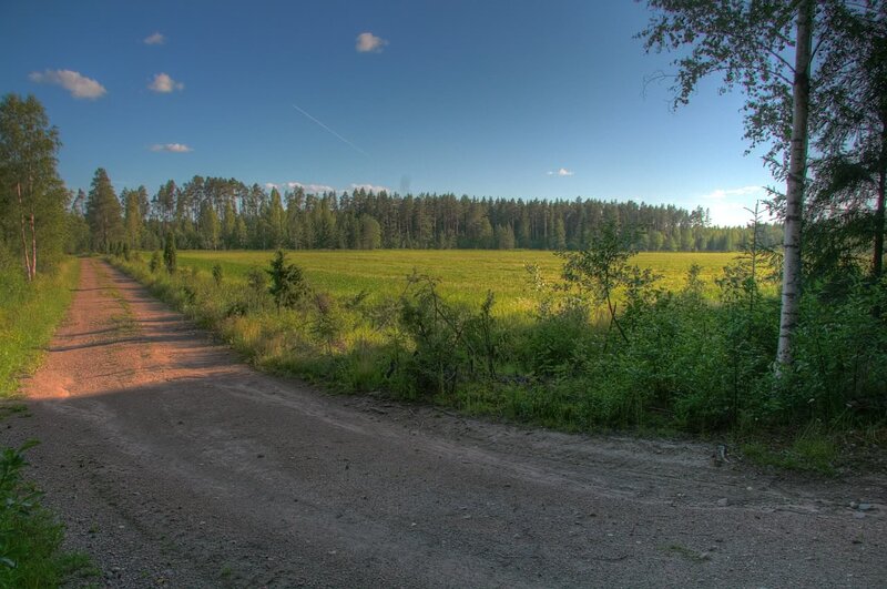 Dirt Road in Field — Green, Serene, Afternoon, Photograph