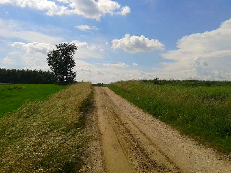 Dirt Road in Field — Green, Serene, Afternoon, Photograph, Tree, Clouds