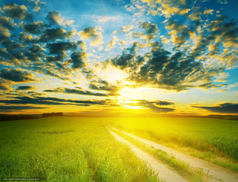 Dirt Road in Field — Green, Serene, Sunset, Photograph, Sky, Clouds