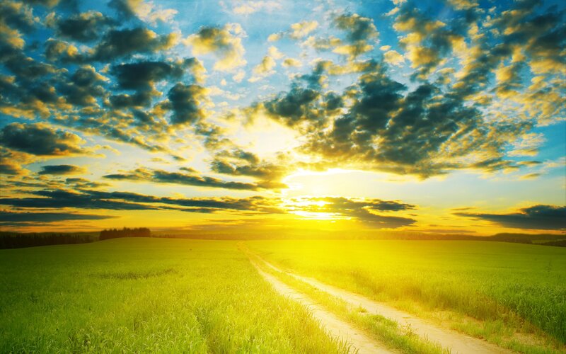 Dirt Road in Field — Green, Serene, Sunset, Photograph, Sky