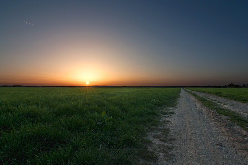 Dirt Road in Field — Green, Serene, Sunset, Photograph, Sun