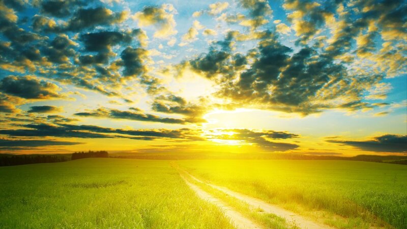Dirt Road in Field — Green, Serene, Sunset