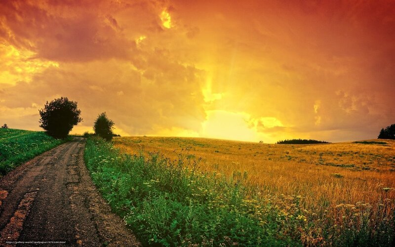 Dirt Road in Field — Orange, Dramatic, Sunset, Photograph, Sky, Trees