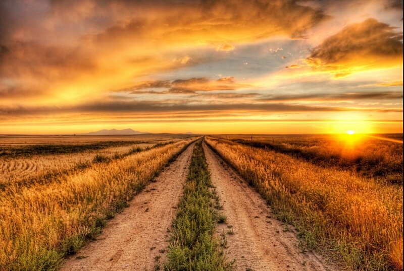 Dirt Road in Field — Orange, Dramatic, Sunset, Photograph, Sun, Clouds