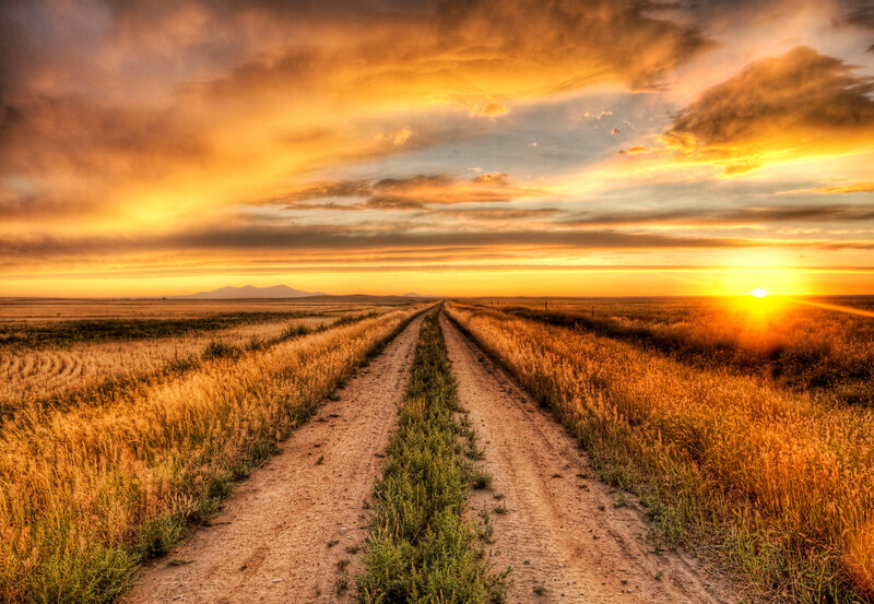 Dirt Road in Field — Orange, Dramatic, Sunset, Photograph, Sun