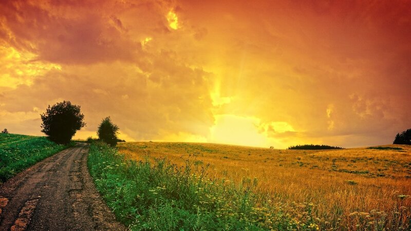 Dirt Road in Field — Orange, Dramatic, Sunset, Photograph, Trees